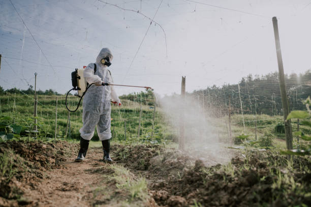 Best Mosquito Control Services  in Granite Falls, MN