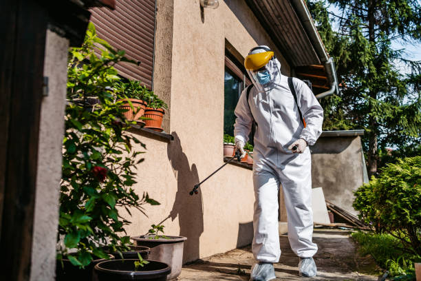 Best Affordable Pest Control Services  in Granite Falls, MN