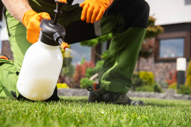 Best Wildlife Control Services  in Granite Falls, MN