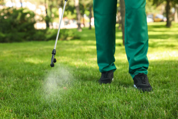 Best Residential Pest Control  in Granite Falls, MN