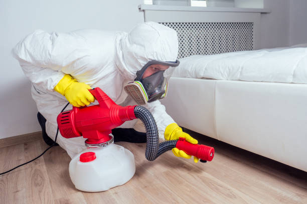 Best Local Pest Control Services  in Granite Falls, MN