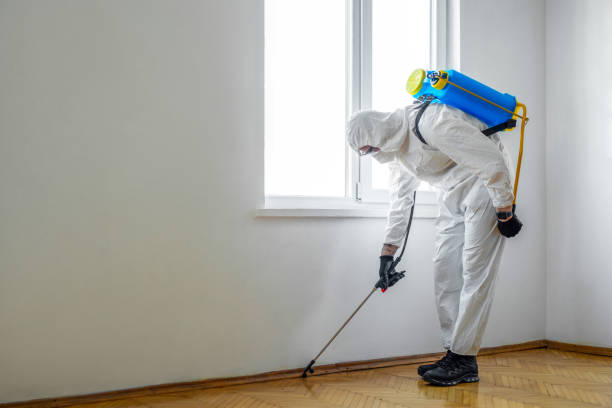Best Pest Removal Services  in Granite Falls, MN