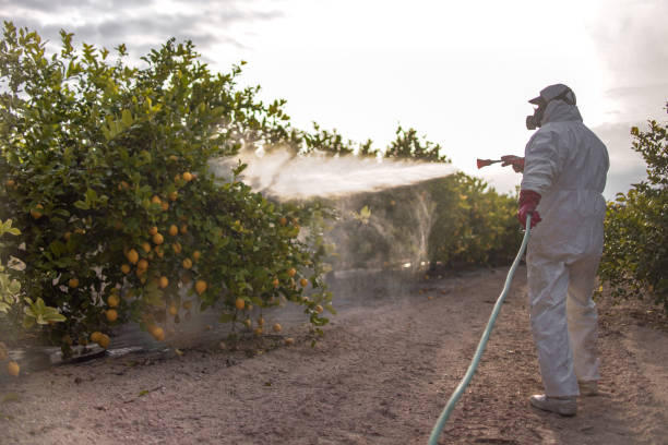 Best Pest Control Treatment  in Granite Falls, MN