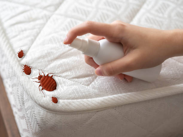 Best Emergency Pest Control  in Granite Falls, MN