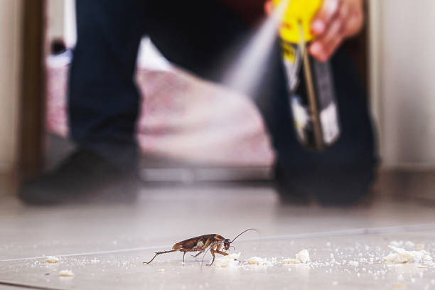 Best Pest Prevention Services  in Granite Falls, MN